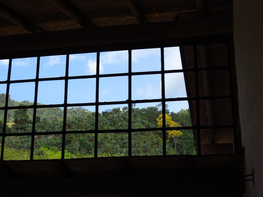 Jardin Utopia Extérieur photo