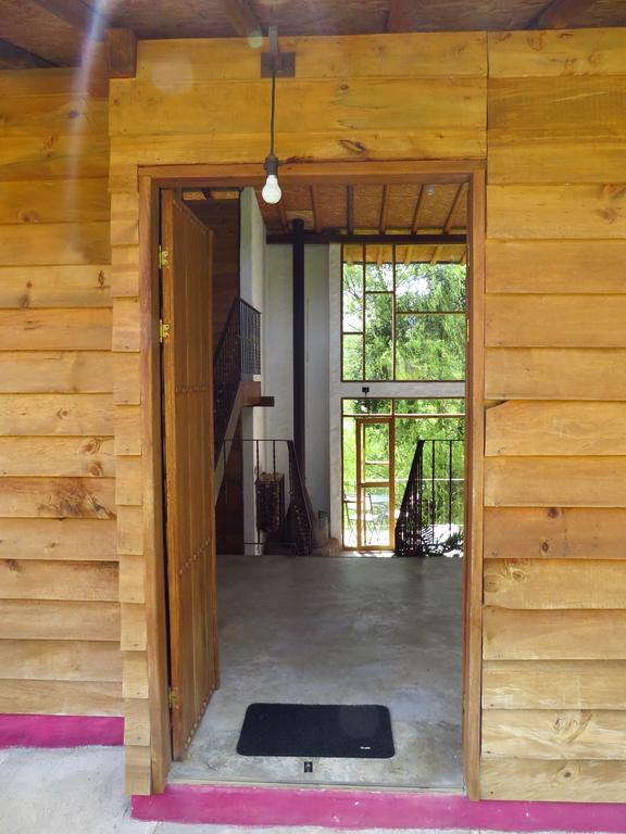 Jardin Utopia Extérieur photo